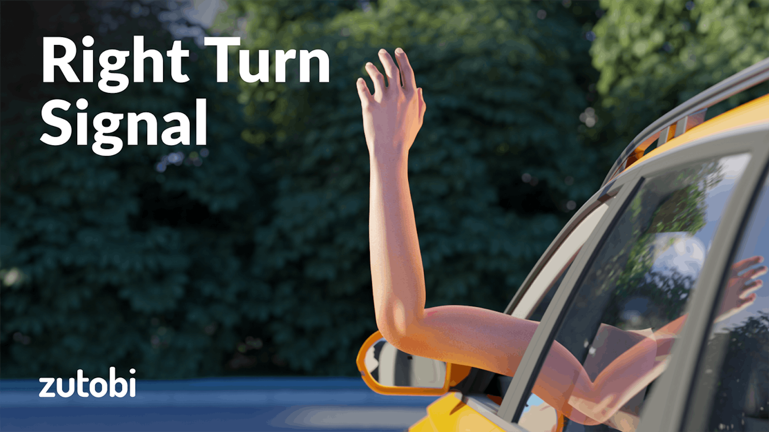 The Hand Signals for Driving: Right, Left, Stop [Video]