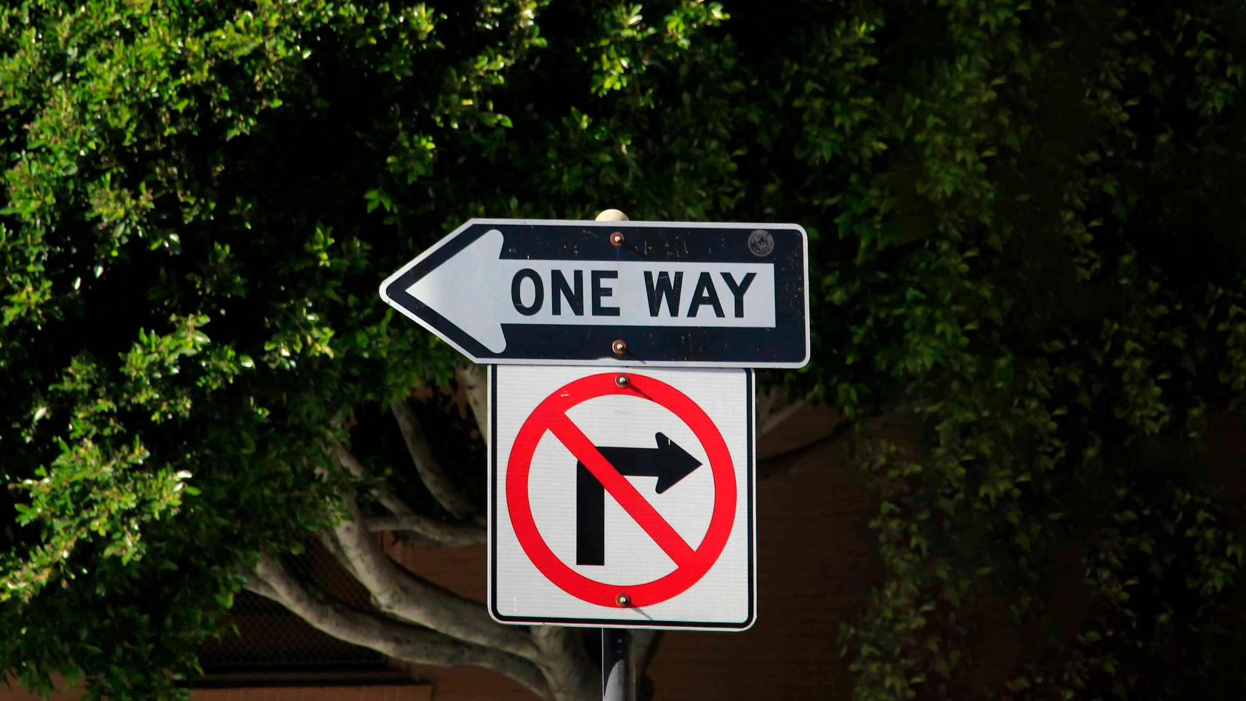 One-way traffic sign (in direction indicated) - Theory Test