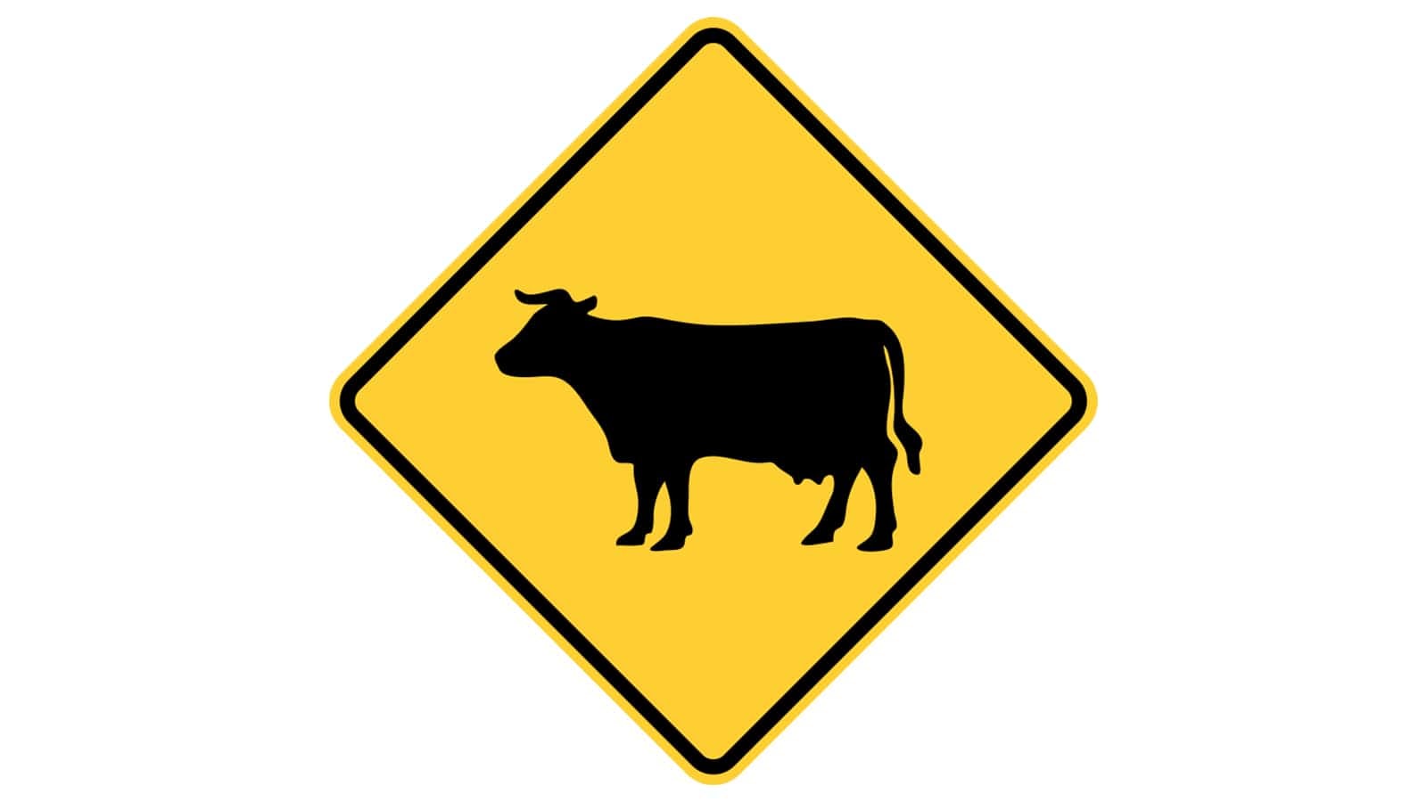 Warning sign Cattle Crossing