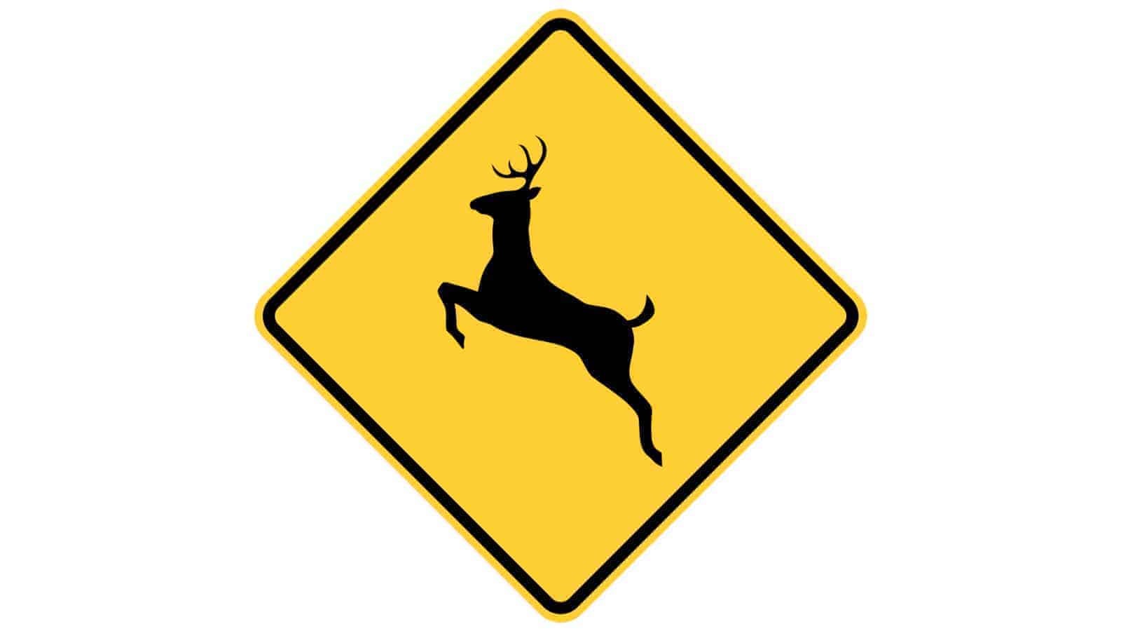 Warning sign Deer Crossing