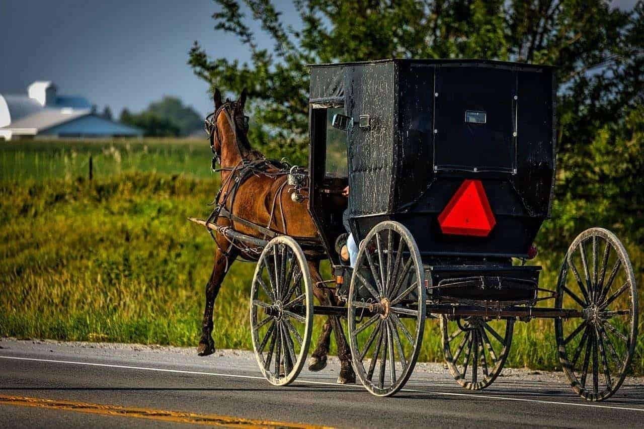 Horse-drawn carriages are still being used on the roads in some state