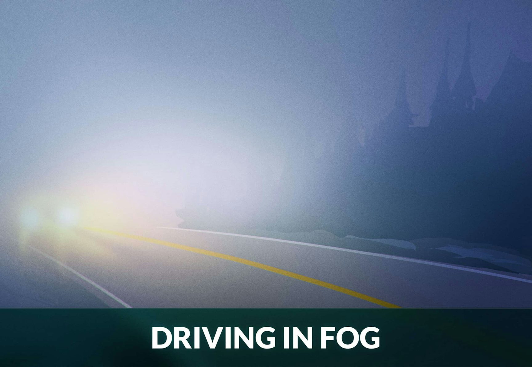 9 Great Tips to Survive Driving in Fog | Zutobi Drivers Ed