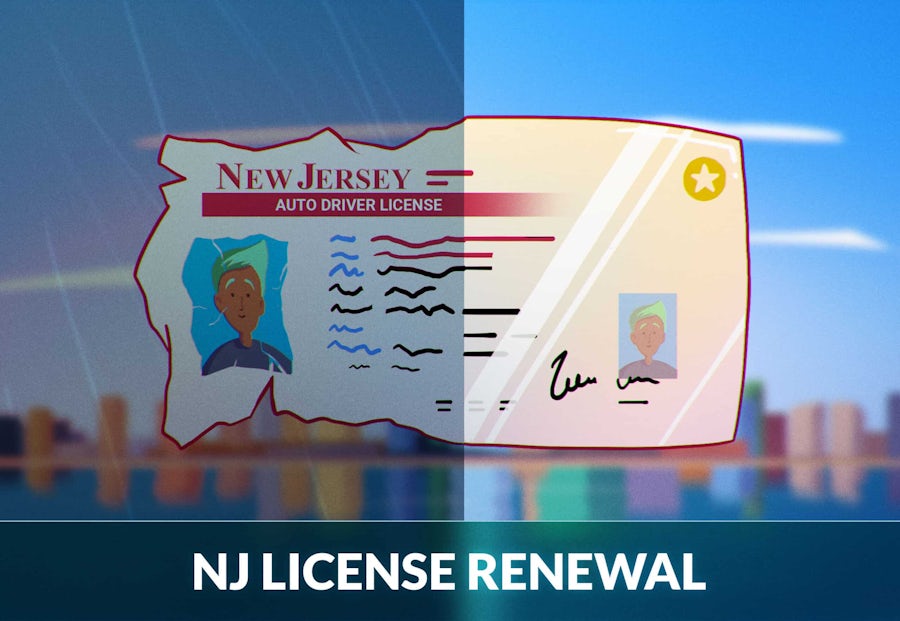 New Jersey Driver's License Renewal Guide Zutobi Drivers Ed