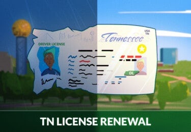 tennessee drivers license check