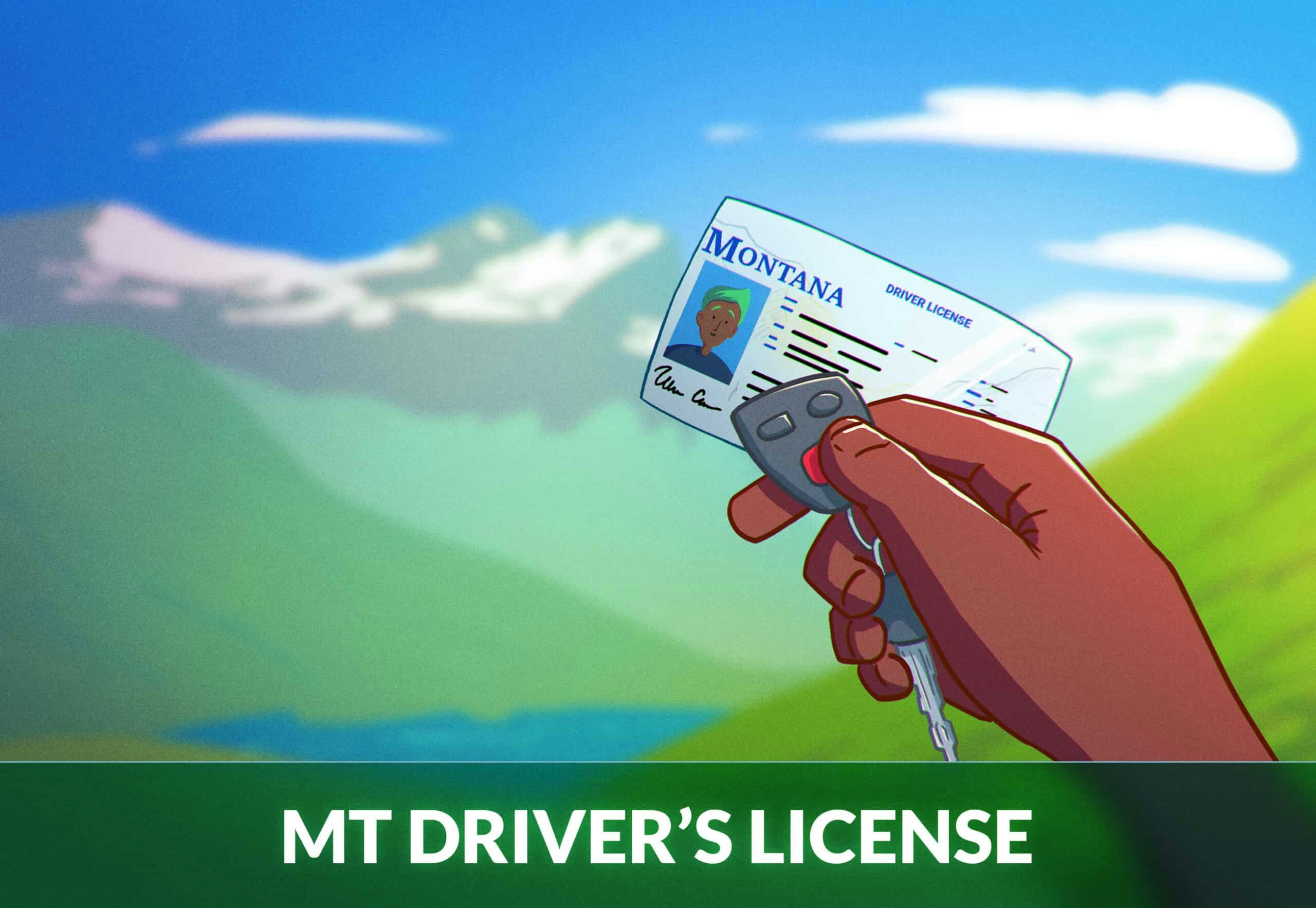 Montana driver's license