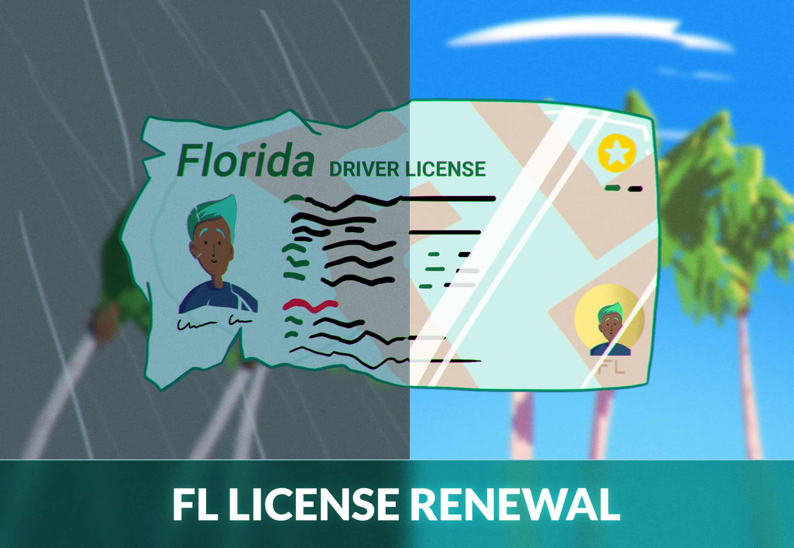 Florida driver's license renewal