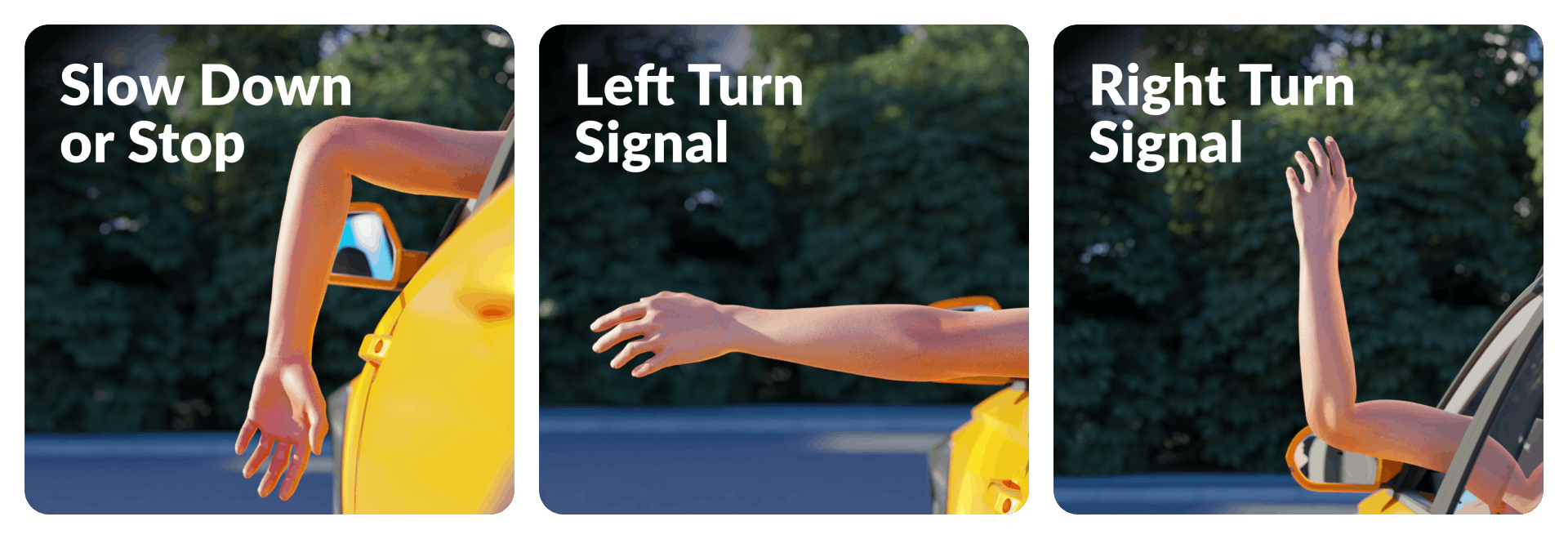driving test hand signal