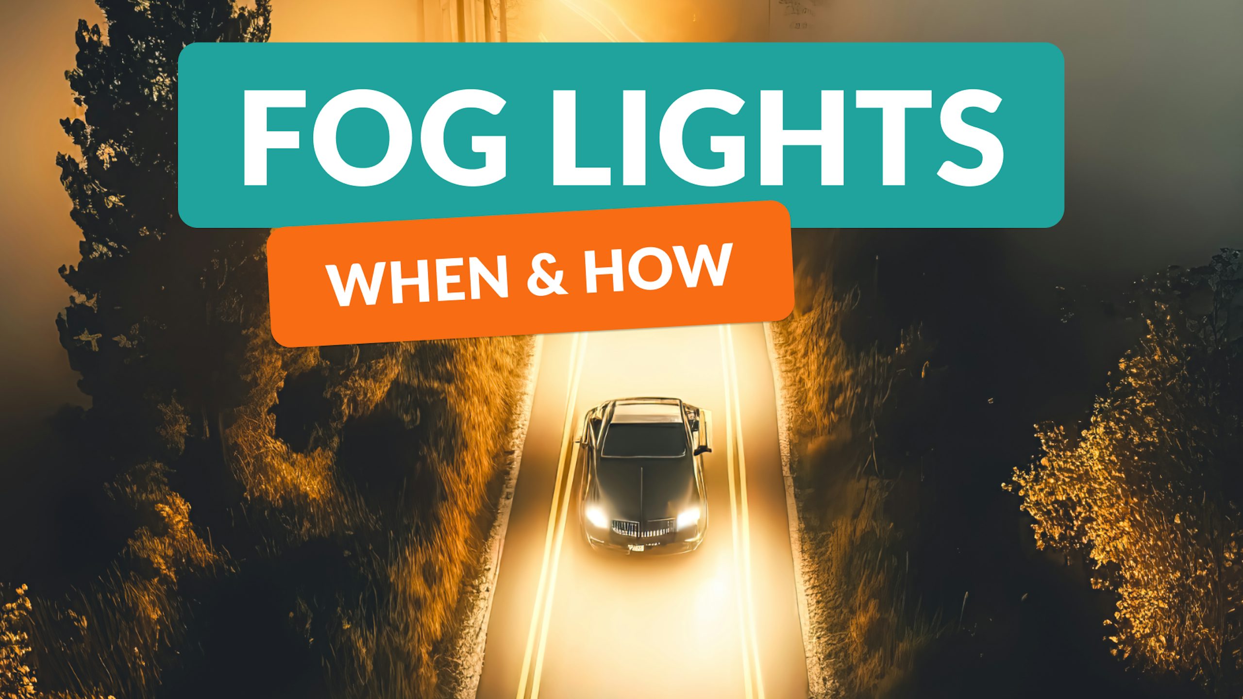 Importance Of Fog Lamps : Detailed Guide