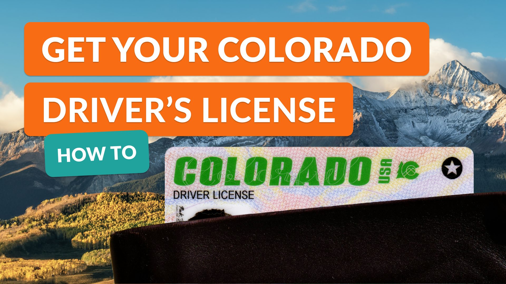 colorado driver's license