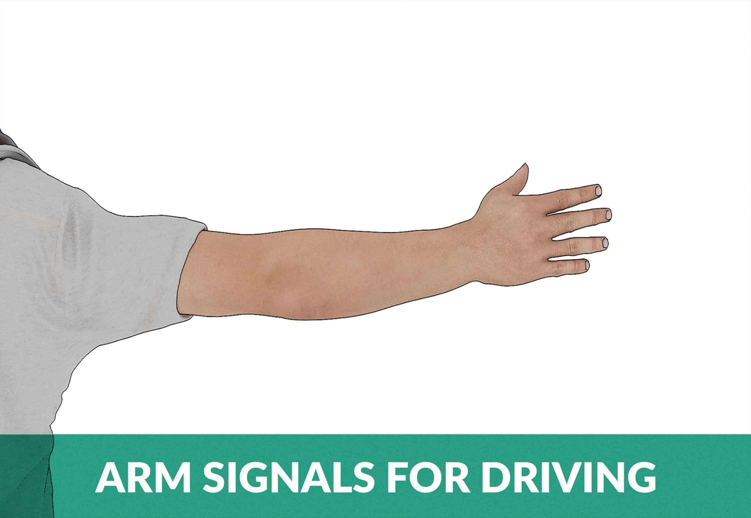Hand Turn Signals in a Car: How to hold your left arm when turning