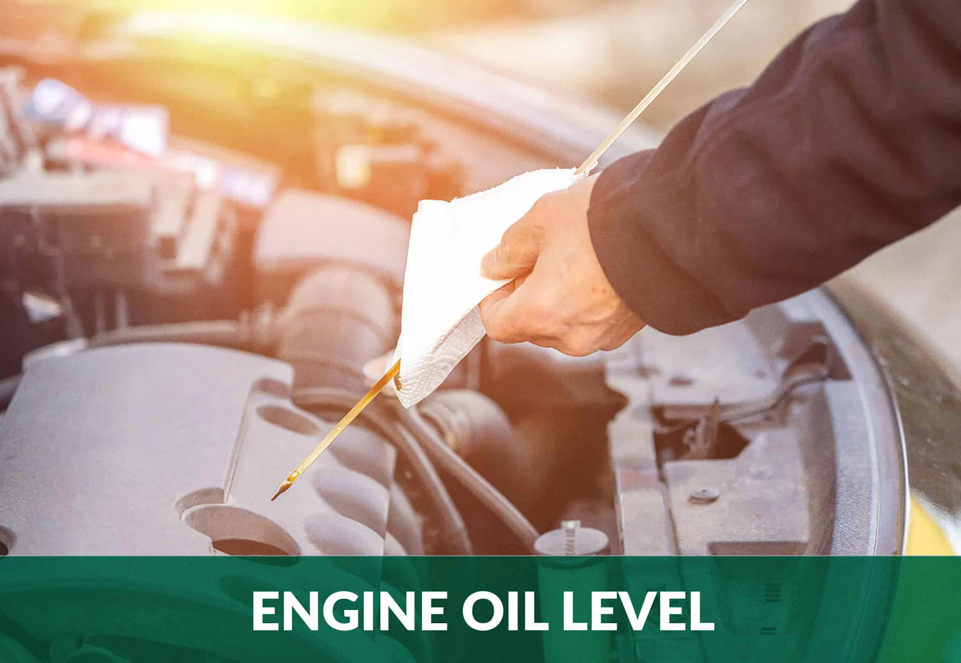 How to Check Your Car's Engine Oil [Step-by-Step Guide]