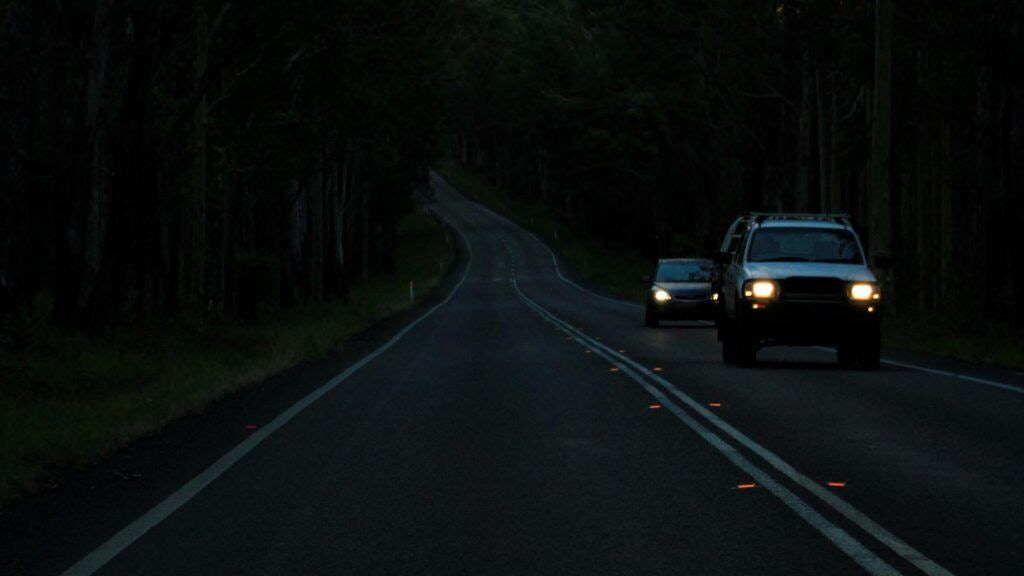Use low-beam headlights not only to see more but also to help others spot you coming